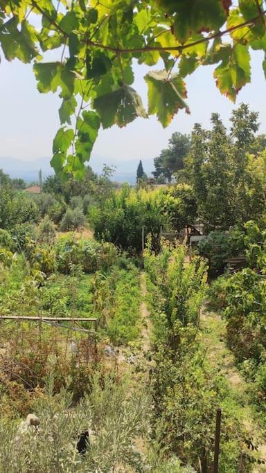Engin Home Pamukkale Exterior foto